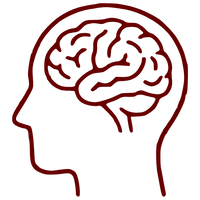 Memory & Brain Support