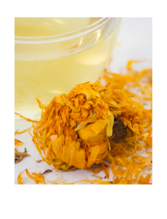 Calendula Extrac
