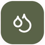 Balances Melanin Production