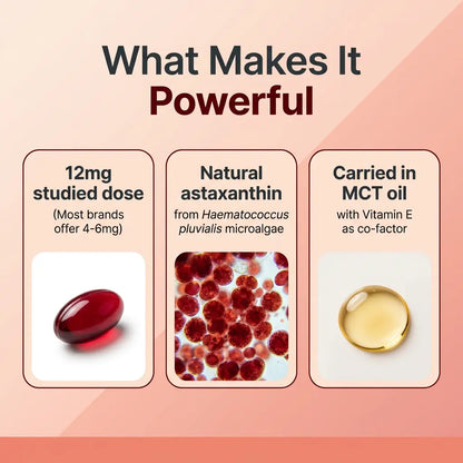 Velia ELIXIR+ Astaxanthin - Nature’s Most Powerful Antioxidant for Whole Body Support & Cellular Protection - 12mg Triple Strength